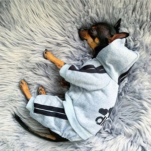 New Pet Dogs Clothes Dog Costume Pet Jumpsuit Chihuahua Pug Pets Dogs Clothing for Small Medium Dogs French Bulldog Puppy Outfit